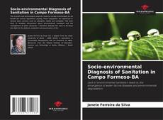 Copertina di Socio-environmental Diagnosis of Sanitation in Campo Formoso-BA