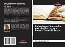 Copertina di Indications of Authorship and Identity Marks in Enem's ‘Nota Mil’ Texts