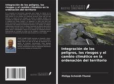 Copertina di Integración de los peligros, los riesgos y el cambio climático en la ordenación del territorio