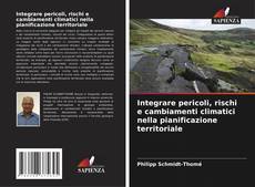 Integrare pericoli, rischi e cambiamenti climatici nella pianificazione territoriale kitap kapağı