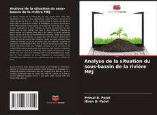 Buchcover von Analyse de la situation du sous-bassin de la rivière MEJ