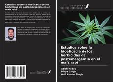 Copertina di Estudios sobre la bioeficacia de los herbicidas de postemergencia en el maíz rabi