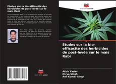 Bookcover of Études sur la bio-efficacité des herbicides de post-levée sur le maïs Rabi