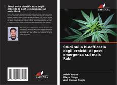 Copertina di Studi sulla bioefficacia degli erbicidi di post-emergenza sul mais Rabi