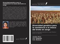 Copertina di Diversidad genética para la resistencia a la mosca del brote en sorgo