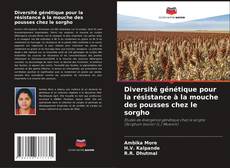Bookcover of Diversité génétique pour la résistance à la mouche des pousses chez le sorgho