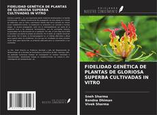 Copertina di FIDELIDAD GENÉTICA DE PLANTAS DE GLORIOSA SUPERBA CULTIVADAS IN VITRO