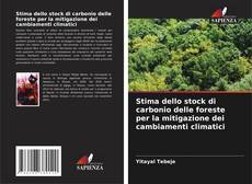 Bookcover of Stima dello stock di carbonio delle foreste per la mitigazione dei cambiamenti climatici