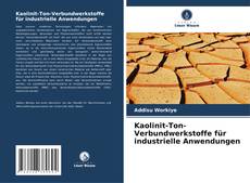 Kaolinit-Ton-Verbundwerkstoffe für industrielle Anwendungen kitap kapağı