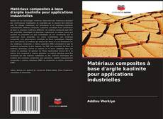 Buchcover von Matériaux composites à base d'argile kaolinite pour applications industrielles