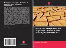 Copertina di Materiais compostos de argila de caulinite para aplicações industriais