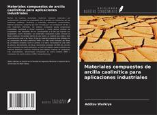 Copertina di Materiales compuestos de arcilla caolinítica para aplicaciones industriales