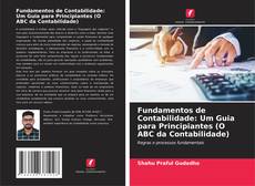 Copertina di Fundamentos de Contabilidade: Um Guia para Principiantes (O ABC da Contabilidade)