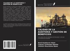 Copertina di CALIDAD DE LA AUDITORÍA Y GESTIÓN DE BENEFICIOS