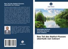 Das Tal des Bahlui-Flusses oberhalb von Cotnari kitap kapağı