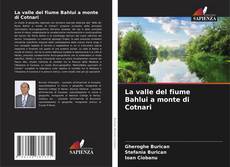 Capa do livro de La valle del fiume Bahlui a monte di Cotnari 