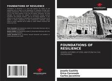 Copertina di FOUNDATIONS OF RESILIENCE