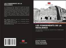 Copertina di LES FONDEMENTS DE LA RÉSILIENCE