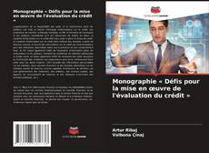 Copertina di Monographie « Défis pour la mise en œuvre de l'évaluation du crédit »