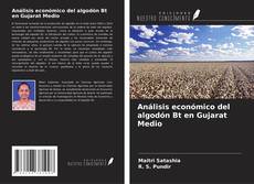 Borítókép a  Análisis económico del algodón Bt en Gujarat Medio - hoz