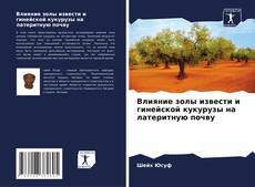 Buchcover von Влияние золы извести и гинейской кукурузы на латеритную почву