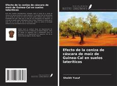 Couverture de Efecto de la ceniza de cáscara de maíz de Guinea-Cal en suelos lateríticos