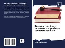 Bookcover of Система судебного контроля; нигерийская граница и шаблон