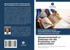 Wasserwirtschaft in Zisternen für die Produktion von Lebensmitteln kitap kapağı