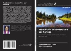 Copertina di Producción de lovastatina por hongos