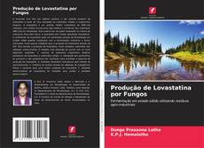 Copertina di Produção de Lovastatina por Fungos