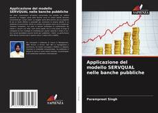 Applicazione del modello SERVQUAL nelle banche pubbliche kitap kapağı