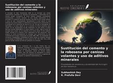 Copertina di Sustitución del cemento y la robosena por cenizas volantes y uso de aditivos minerales