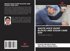 Copertina di WASTE ROCK DUMP BLOCKS AND SUGAR CANE ASH