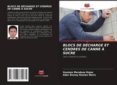 Copertina di BLOCS DE DÉCHARGE ET CENDRES DE CANNE À SUCRE