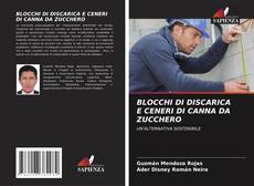 Copertina di BLOCCHI DI DISCARICA E CENERI DI CANNA DA ZUCCHERO