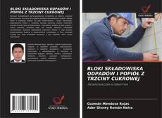 Bookcover of BLOKI SKŁADOWISKA ODPADÓW I POPIÓŁ Z TRZCINY CUKROWEJ