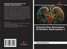 Copertina di Potential New Biomarkers Of Diabetic Nephropathy 2