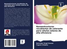 Copertina di Nanoestructuras recubiertas de colorante para células solares de alta eficiencia