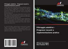 Filtraggio adattivo - Progressi recenti e implementazione pratica kitap kapağı