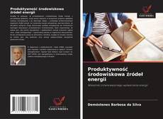 Bookcover of Produktywność środowiskowa źródeł energii