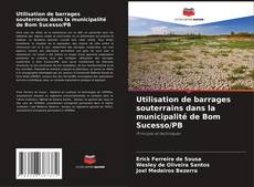 Borítókép a  Utilisation de barrages souterrains dans la municipalité de Bom Sucesso/PB - hoz