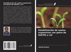 Bookcover of Estabilización de suelos expansivos con polvo de ladrillo y cal