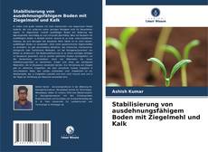 Copertina di Stabilisierung von ausdehnungsfähigem Boden mit Ziegelmehl und Kalk