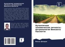 Copertina di Аутентичная человеческая личность: Антропология Винсента Паллотти