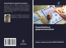 Kwantitatieve gegevensanalyse kitap kapağı