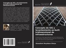 Copertina di Concepto de SIG y levantamiento as-built tridimensional de infraestructuras