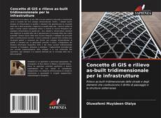 Copertina di Concetto di GIS e rilievo as-built tridimensionale per le infrastrutture