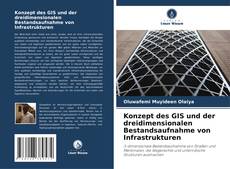 Konzept des GIS und der dreidimensionalen Bestandsaufnahme von Infrastrukturen kitap kapağı