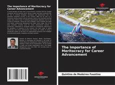 Copertina di The Importance of Meritocracy for Career Advancement