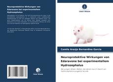 Copertina di Neuroprotektive Wirkungen von Edaravone bei experimentellem Hydrozephalus